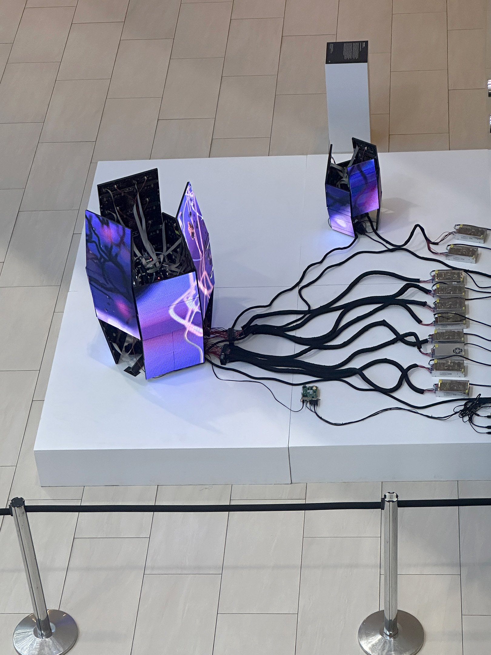 The Electric Silence in Shanghai